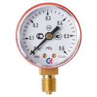 ТМ-210Р.00(0-0,6MPa)M12х1,5.2,5 С3Н8 МАНОМЕТР 50 мм, ТИП - ТМ-210Р, М12х1,5 (снизу), 0-0,6MPa, кл.2